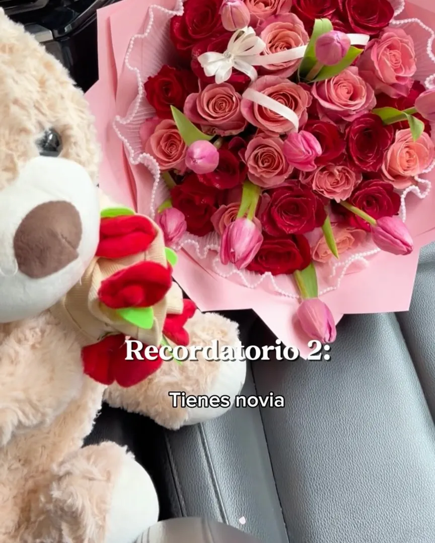 Oso de Peluche Mediano